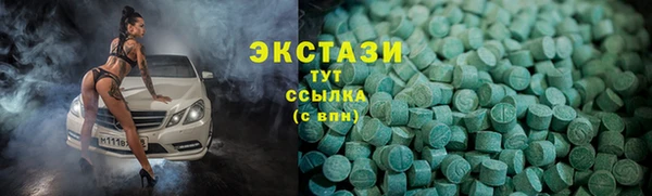 гашик Алексин