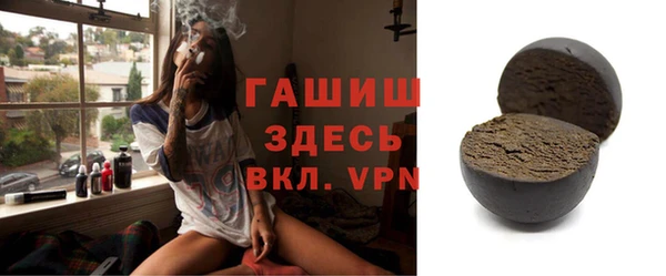 гашик Алексин