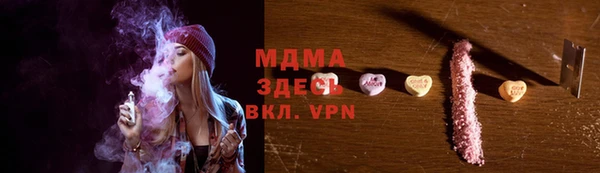 гашик Алексин