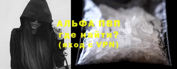 гашик Алексин
