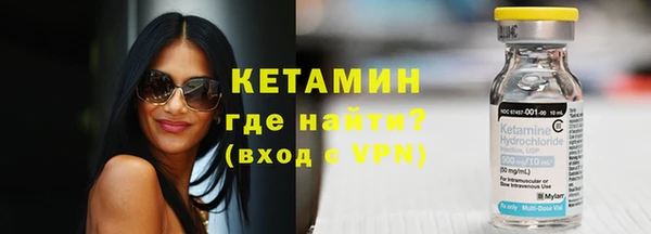 гашик Алексин