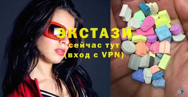 гашик Алексин