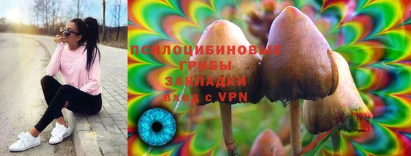 гашик Абаза