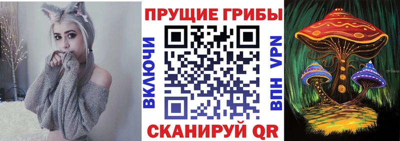 Галлюциногенные грибы GOLDEN TEACHER  где продают   OMG ONION  Данилов 